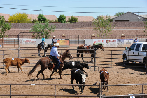 Sorting Ride for the Riches Las Vegas